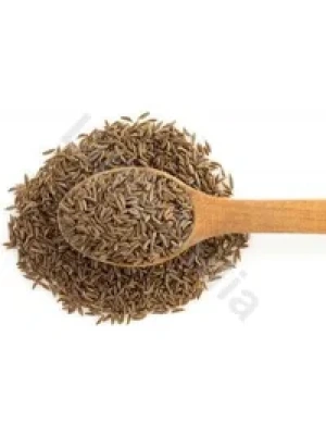 Cumin Seeds (Jeera whole) TRS